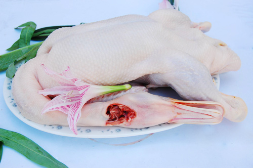 ���r����