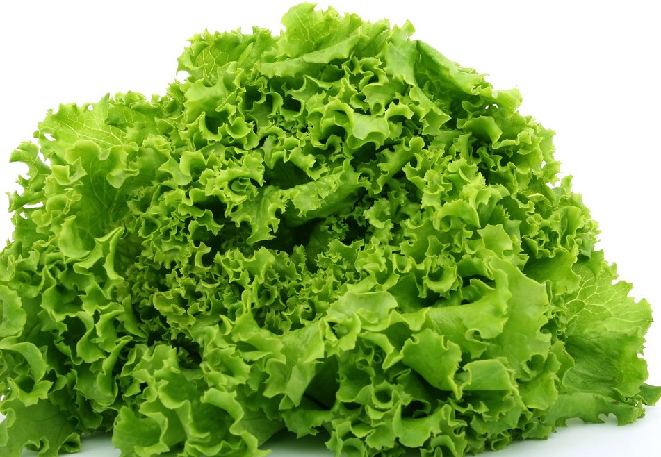 ���r��(y��u)�|(zh��)�~����